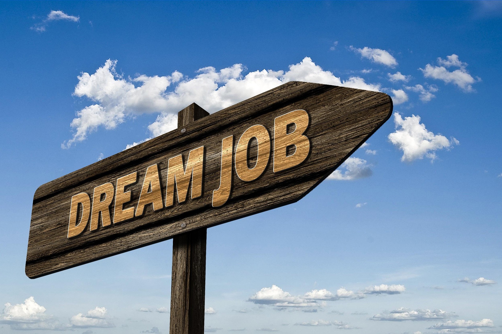 From Application to Offer: A Job Seeker’s Roadmap to Success